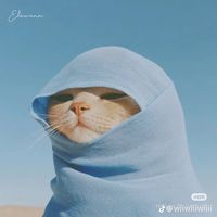 suara asli - Chacha