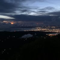 v._vaunie