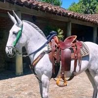 user1929040551333