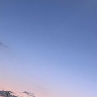 オリジナル楽曲 - ピノ_🐼🐾