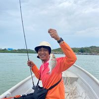 dewa.dn