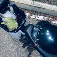 fadil.353