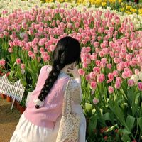 bo_lam_toc