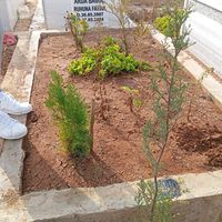 arda.yagmurum
