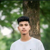 nayon300k