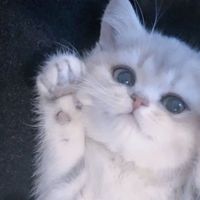 オリジナル楽曲 - ^^