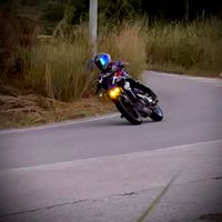 aniba894
