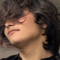 atiqoo_gull