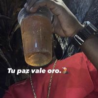 breinerr07