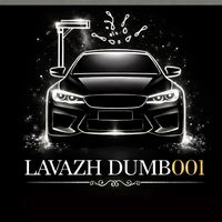 lavazh_dumb001