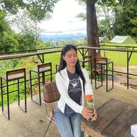 kung_kung1230