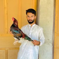 maan_awan_302