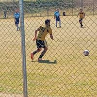 alcides.larrea7