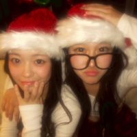 ylis_2