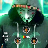 roijunior87