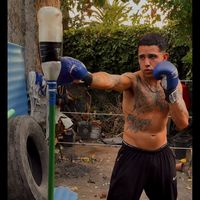 tato.fight