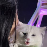 miiimiiimiiishkajyk