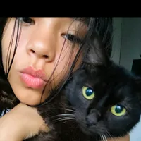 original sound - funnykcats