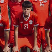 balsascepovic66