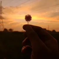 original sound - music.lyrics7056