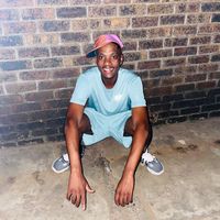 shimza264