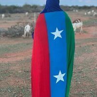 janoyo20