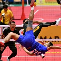 bunyi asal - rollspike.my