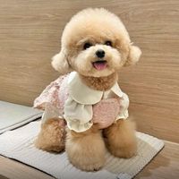 原声 - 犬のいる生活🐶