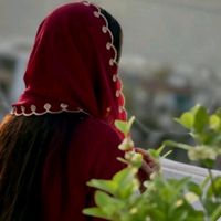 ziddisherni360