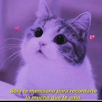maribel.533
