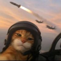 letrungnguyen30102010