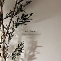 areeba_siddiqui_