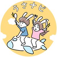 usanavi_date