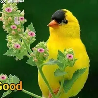 original sound - user3081862291571