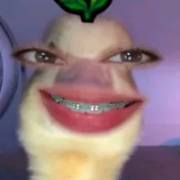 original sound - brynleighsarao