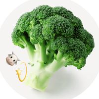 broccoli_tk