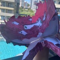 olivias.dragons.1