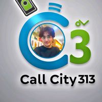 callcity313