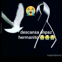 franzc20