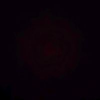 beren_celik47