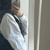 ayu.0.4.6
