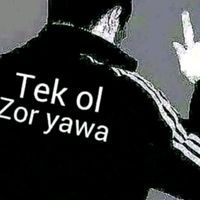 tenha_biris_i
