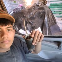 soynico.13