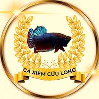 caxiemcuulong