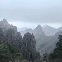 原声 - 🌺明静🌺