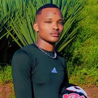 kwarda.panya1