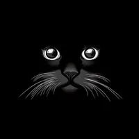 original sound - opawais34