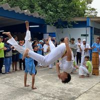 tanajura.capoeira.vive