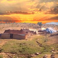 الصوت الأصلي