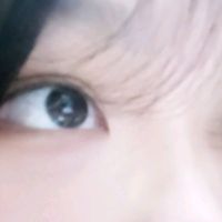 lliil._.l11